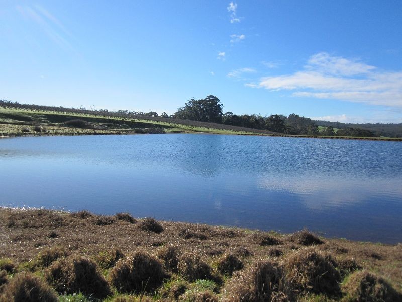 ‘Koolama’ 357 Franklin Road, Manjimup WA 6258