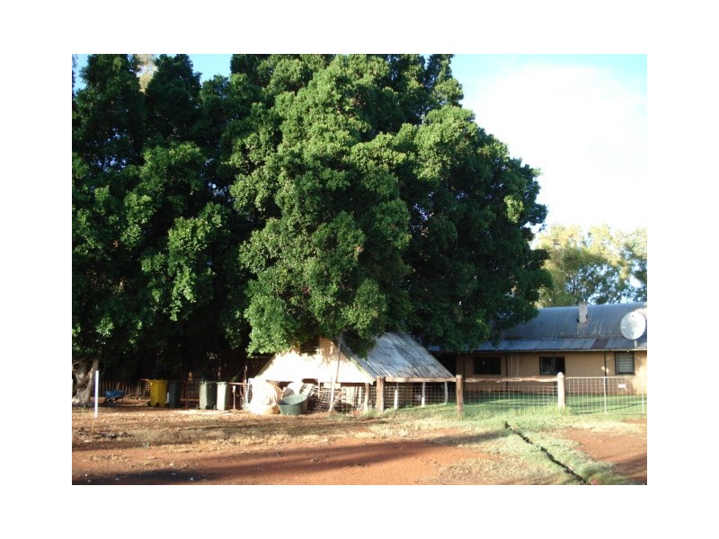 ‘Billabalong Station’, Murchison WA 6630
