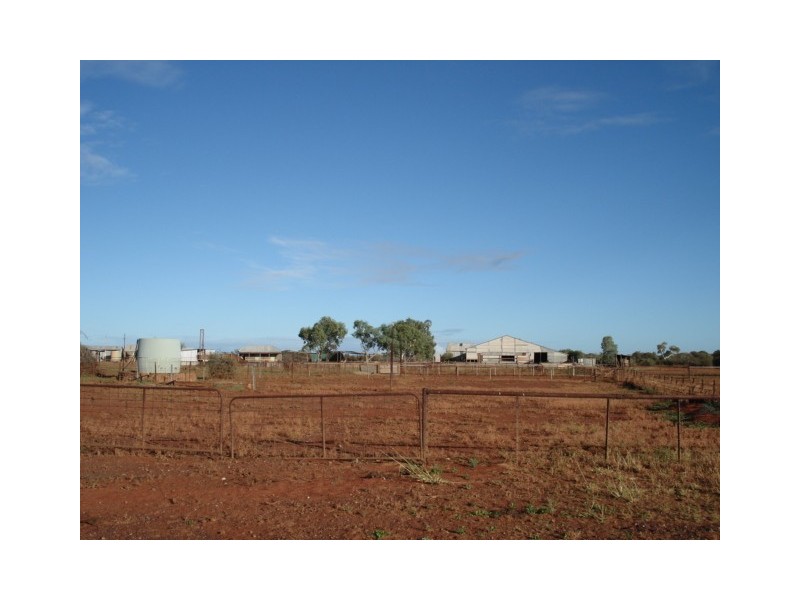‘Billabalong Station’, Murchison WA 6630