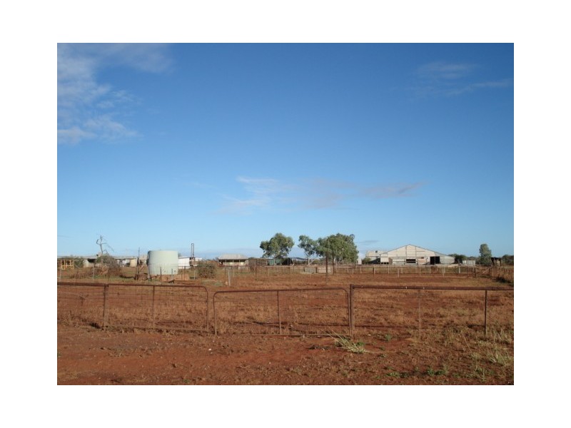 ‘Billabalong Station’, Murchison WA 6630