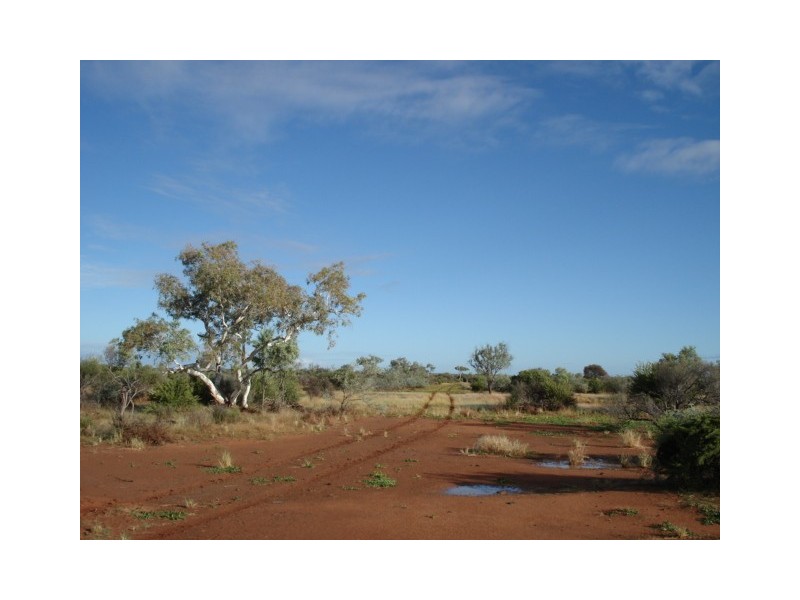 ‘Billabalong Station’, Murchison WA 6630
