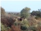 ‘Billabalong Station’, Murchison WA 6630