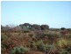 ‘Billabalong Station’, Murchison WA 6630