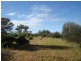 ‘Billabalong Station’, Murchison WA 6630