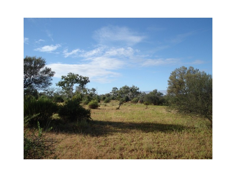 ‘Billabalong Station’, Murchison WA 6630