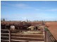 ‘Billabalong Station’, Murchison WA 6630