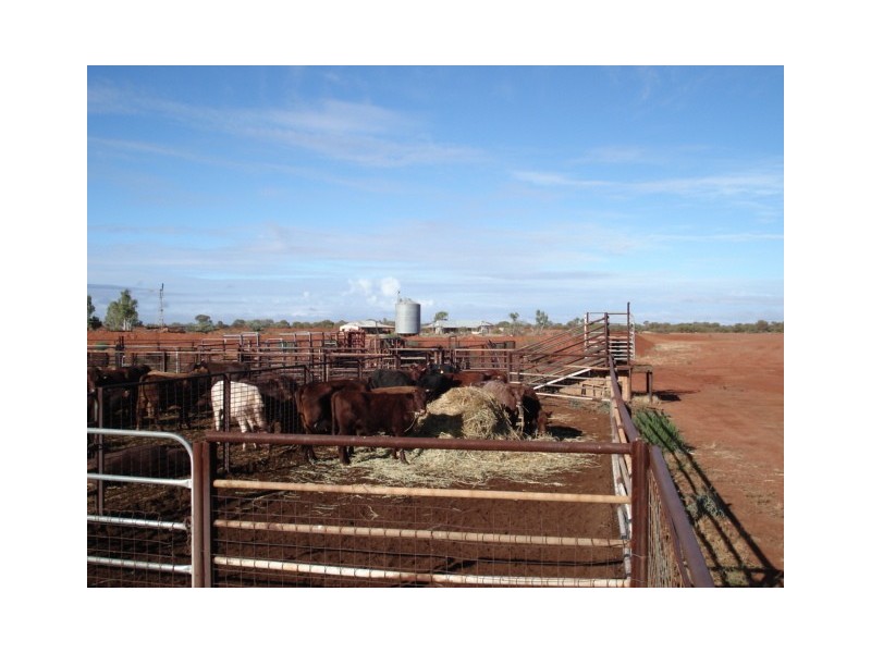 ‘Billabalong Station’, Murchison WA 6630