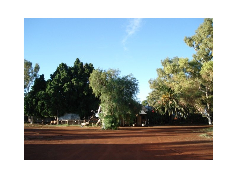 ‘Billabalong Station’, Murchison WA 6630