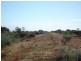 ‘Billabalong Station’, Murchison WA 6630