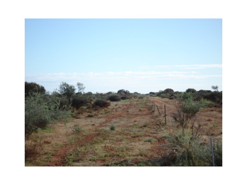 ‘Billabalong Station’, Murchison WA 6630