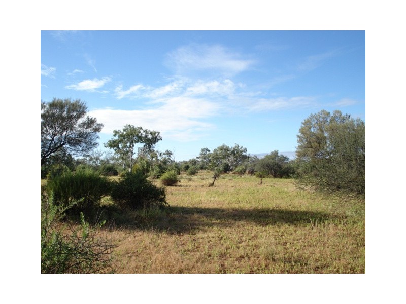 ‘Billabalong Station’, Murchison WA 6630