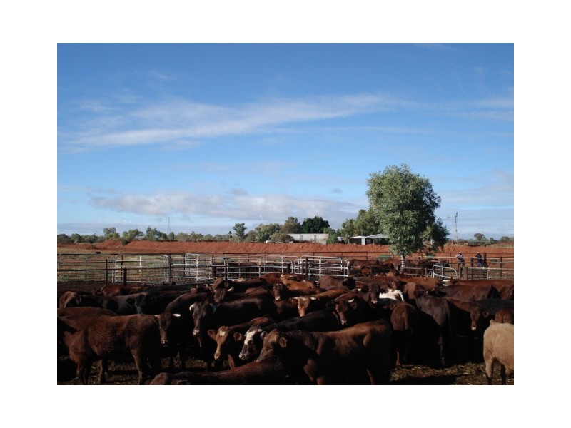 ‘Billabalong Station’, Murchison WA 6630