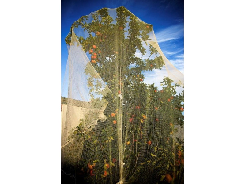 11 Moir Street, Borden WA 6338