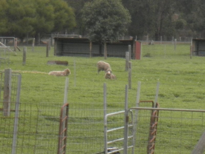 Lot 2487 McAlinden Road, Mcalinden WA 6225