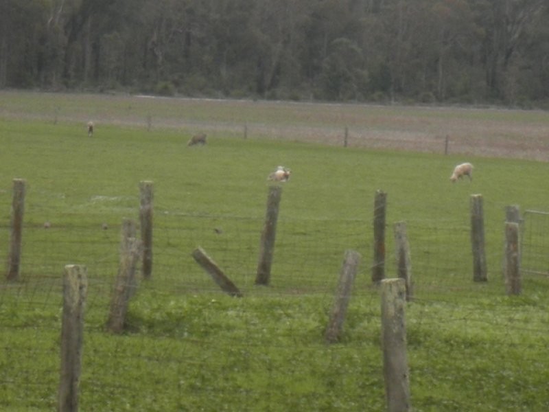 Lot 2487 McAlinden Road, Mcalinden WA 6225