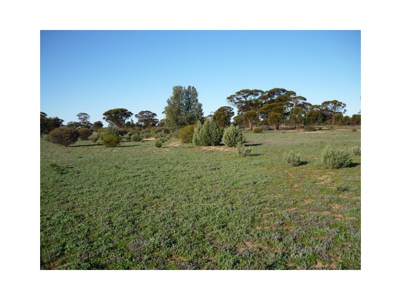 Lot 15639, Hines Hill WA 6413