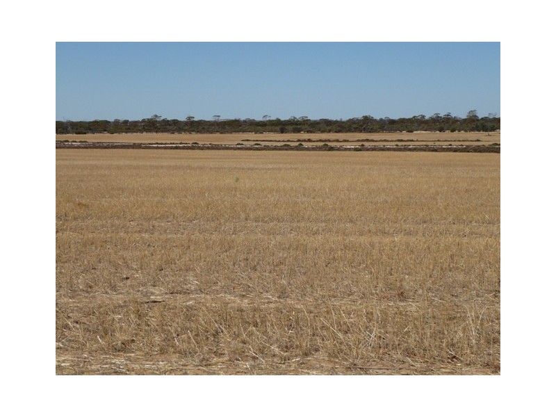 Lot 15639, Hines Hill WA 6413