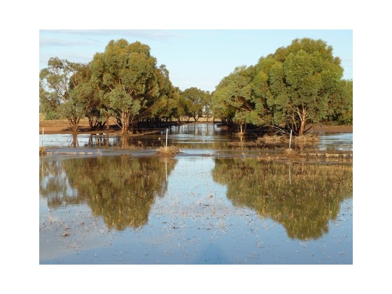 Lot 61 Neening Road, Nangeenan WA 6414