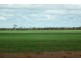 Lot 61 Neening Road, Nangeenan WA 6414