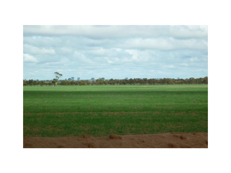 Lot 61 Neening Road, Nangeenan WA 6414