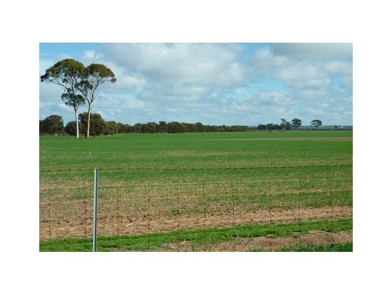 Lot 61 Neening Road, Nangeenan WA 6414