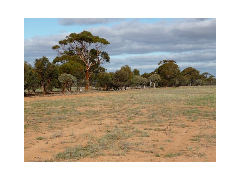 Lot 22182 Neening Road, Hines Hill WA 6413