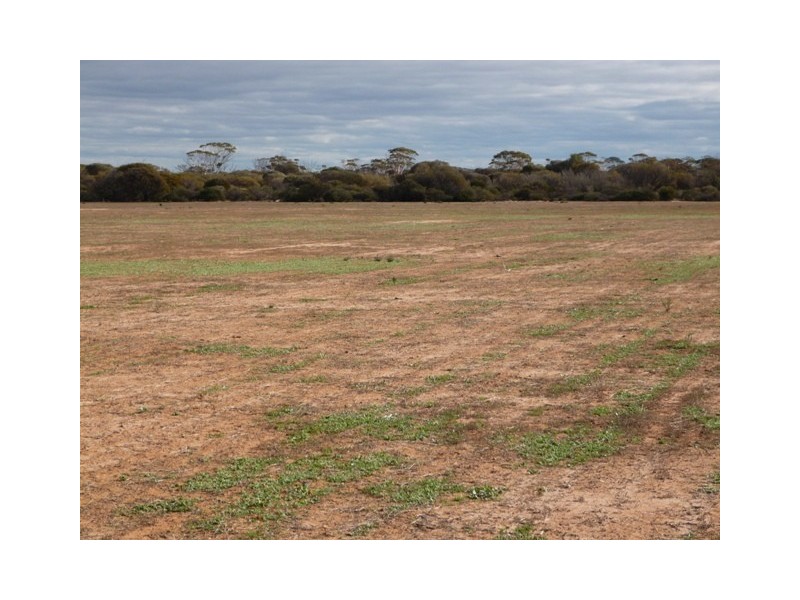 Lot 22182 Neening Road, Hines Hill WA 6413