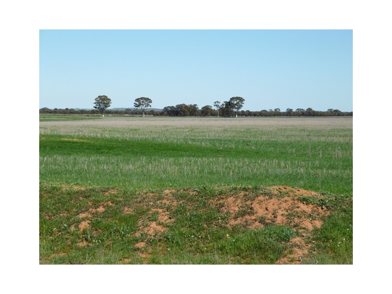Lot 8962 Neening Road, Nangeenan WA 6414
