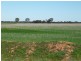 Lot 8962 Neening Road, Nangeenan WA 6414
