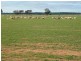 Lot 15621 Neening Road, Nangeenan WA 6414