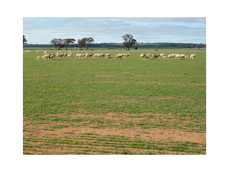 Lot 15621 Neening Road, Nangeenan WA 6414
