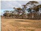Lot 15621 Neening Road, Nangeenan WA 6414