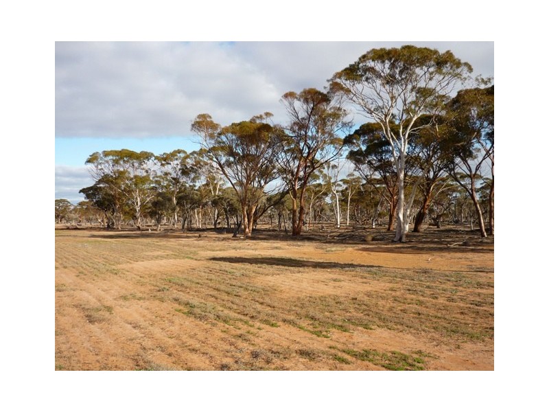 Lot 15621 Neening Road, Nangeenan WA 6414