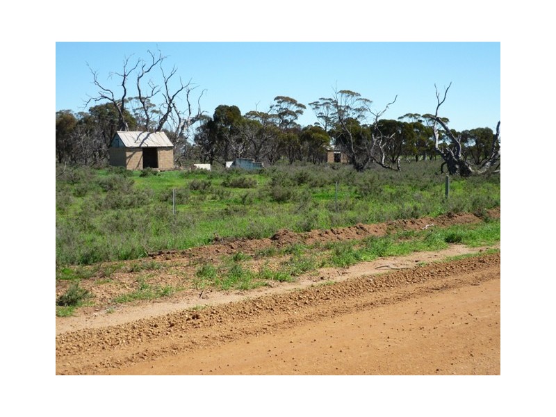 Lot 1 Cnr Neening and Goldfields Road, Nangeenan WA 6414