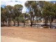 Lot 1 Cnr Neening and Goldfields Road, Nangeenan WA 6414