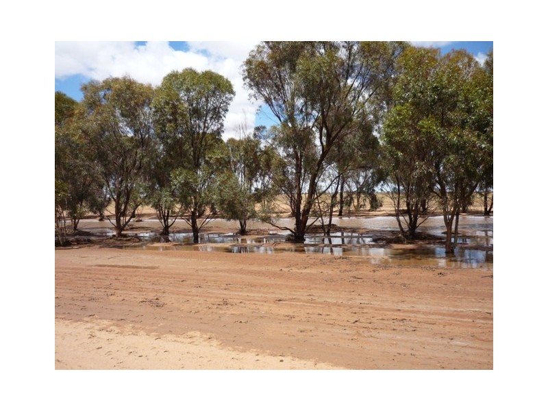Lot 1 Cnr Neening and Goldfields Road, Nangeenan WA 6414