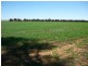 Lot 1 Cnr Neening and Goldfields Road, Nangeenan WA 6414