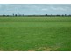 Lot 120 Neening Road, Nangeenan WA 6414