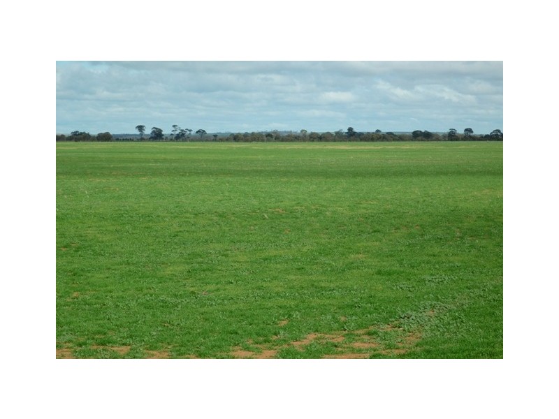 Lot 120 Neening Road, Nangeenan WA 6414
