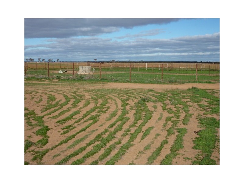 Lot 120 Neening Road, Nangeenan WA 6414