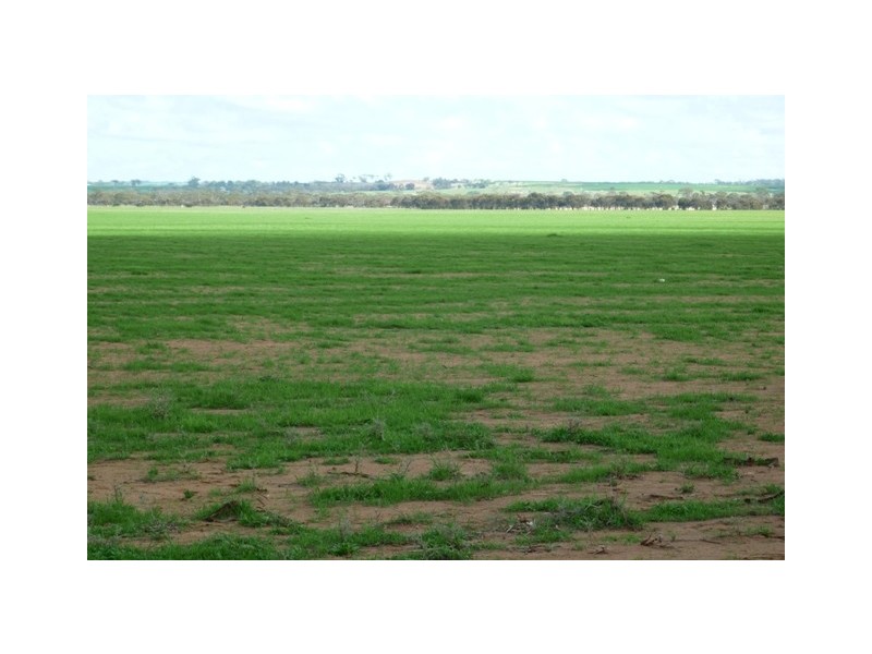 Lot 120 Neening Road, Nangeenan WA 6414