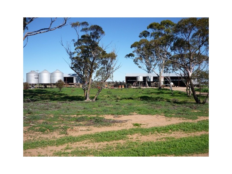 Lot 28 Goldfields Road, Nangeenan WA 6414