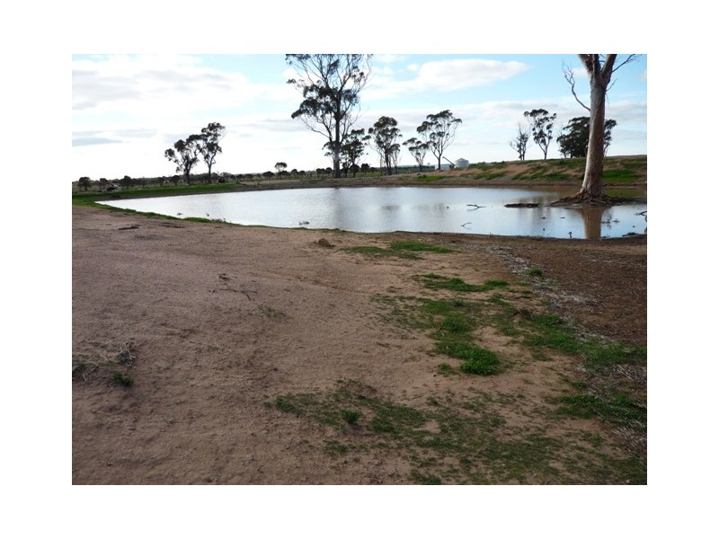 Lot 28 Goldfields Road, Nangeenan WA 6414
