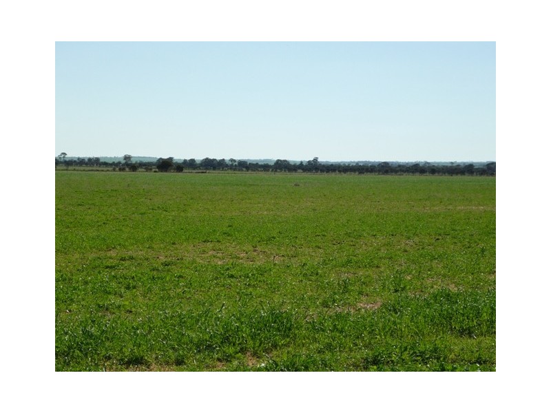 Lot 28 Goldfields Road, Nangeenan WA 6414