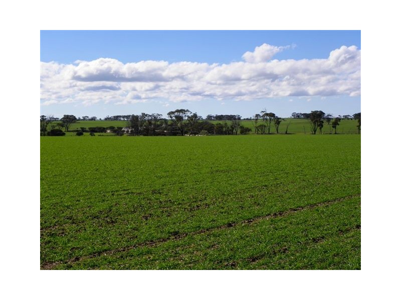 Part ‘Braeside’ 264 McHardy Road, Needilup WA 6336