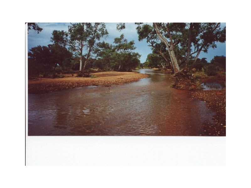 ‘Wonganoo Station’, Leonora WA 6438