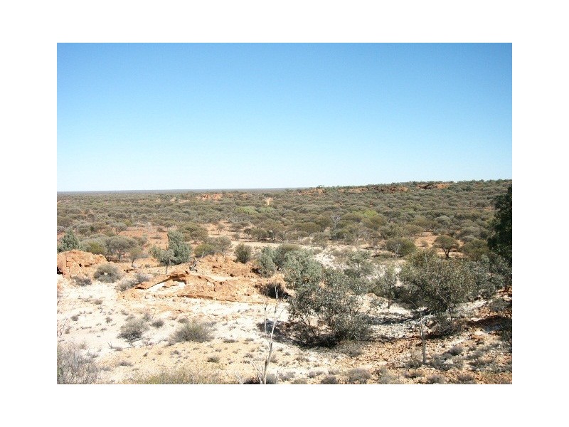 ‘Wonganoo Station’, Leonora WA 6438