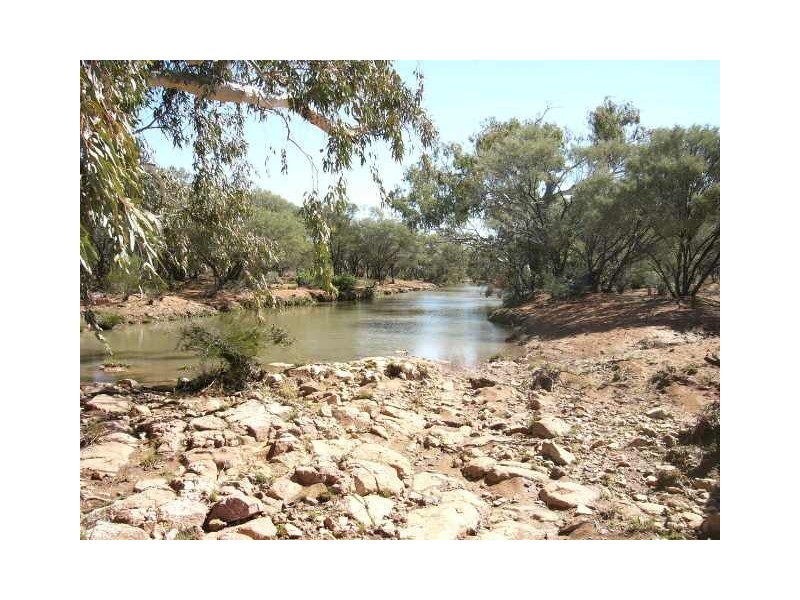 ‘Wonganoo Station’, Leonora WA 6438