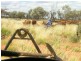 ‘Wonganoo Station’, Leonora WA 6438