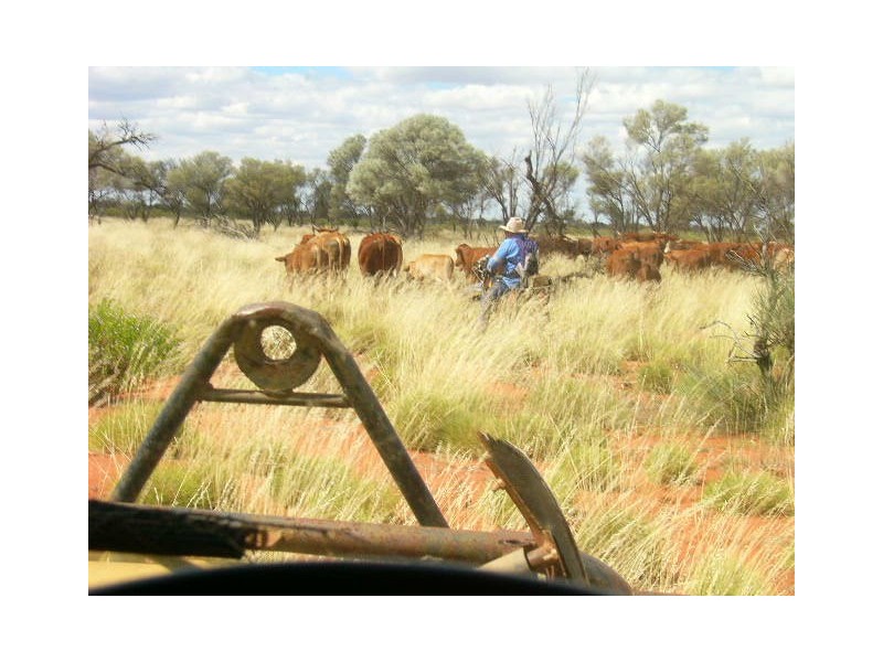 ‘Wonganoo Station’, Leonora WA 6438